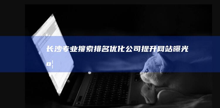 长沙专业搜索排名优化公司提升网站曝光度